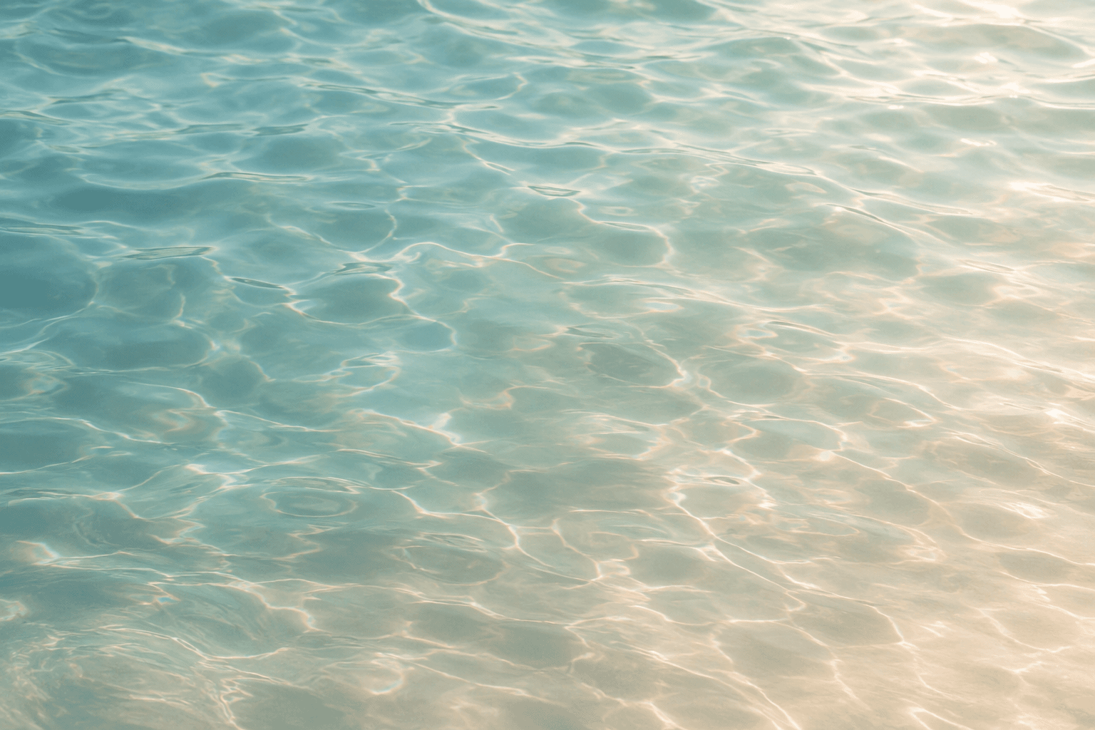 Sunlit water rippling across a shallow, sandy shoreline